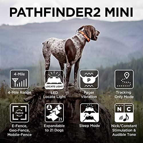 PATHFINDER2 MINI Pathfinder2 Mini GPS Dog Tracking & Dog Training System - Yellow & Black