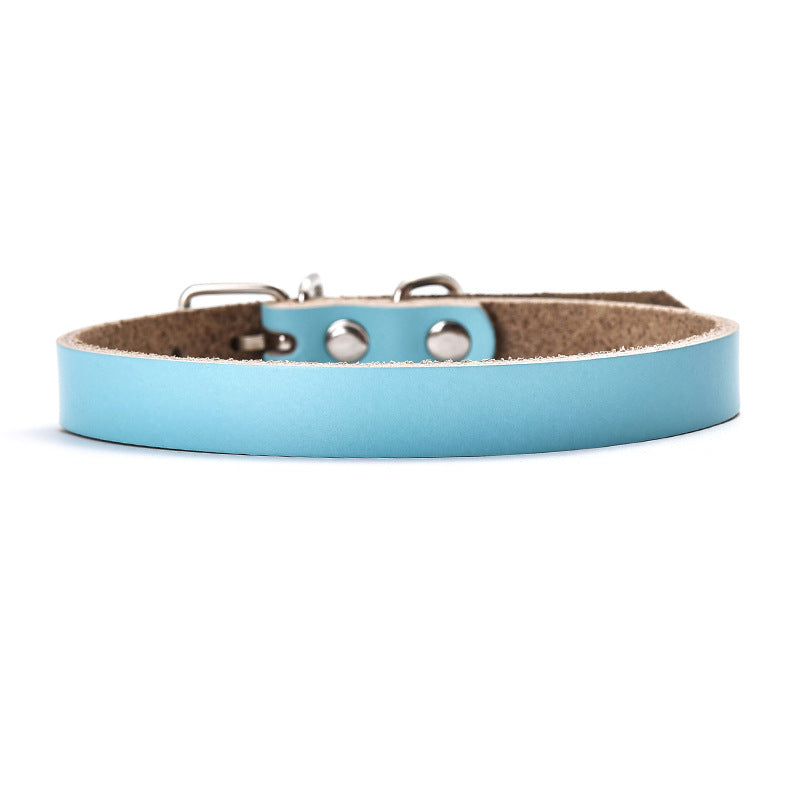 Premium Genuine Leather Dog Collar and Chain for Medium and Large Dogs Blue