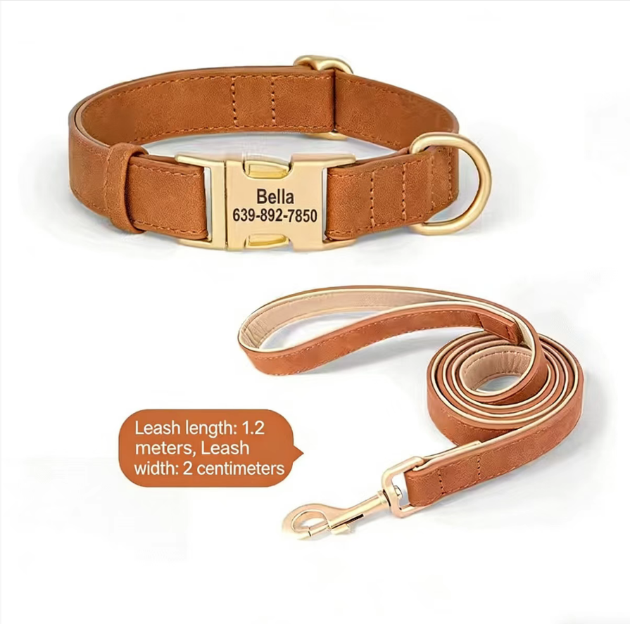 Letter Print Dog Collar for Small Dogs Orange