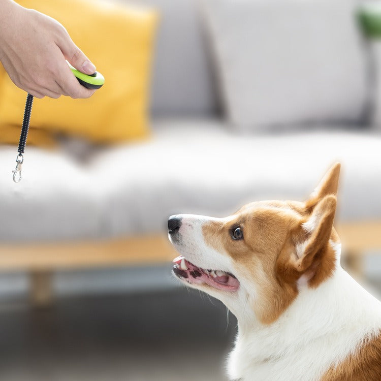 Dog Sound Film Ticking Stick Dog Whistle Trainer Easy use