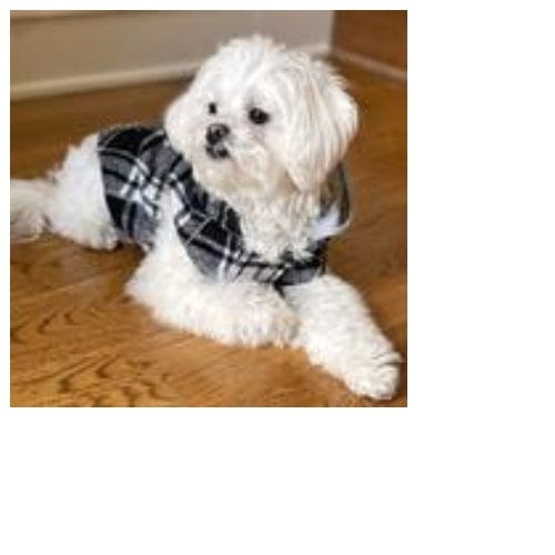 Weekender Dog Sweatshirt Hoodie - Black and White Plaid Flannel XS - XL