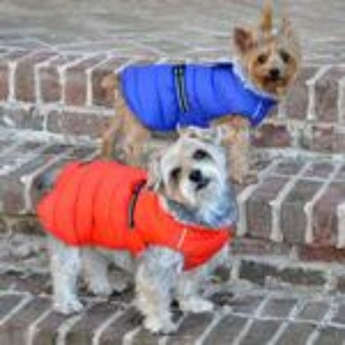 Alpine Extreme Cold Puffer Dog Coat - Blue X-Small to 5X-Large