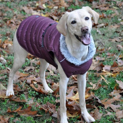 Alpine Extreme Cold Puffer Dog Coat - Burgundy X-Small to 5X-Large