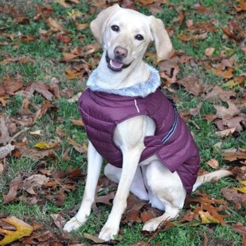 Alpine Extreme Cold Puffer Dog Coat - Burgundy X-Small to 5X-Large