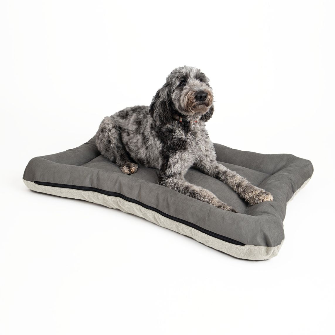 All Day Bed - Sm (20X26) - Anthracite/Ivory
