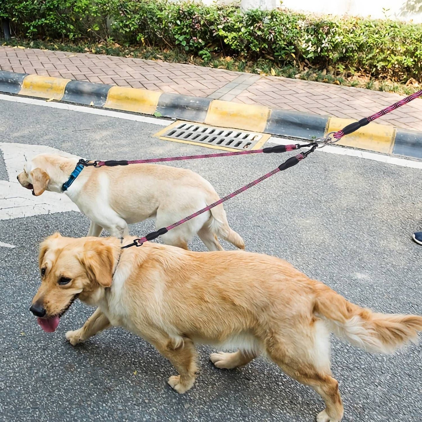 Double Dogs Leash No-Tangle Dogs Lead Reflective Dogs Walking Leash w/ Swivel Coupler Padded Handle shown with two dogs