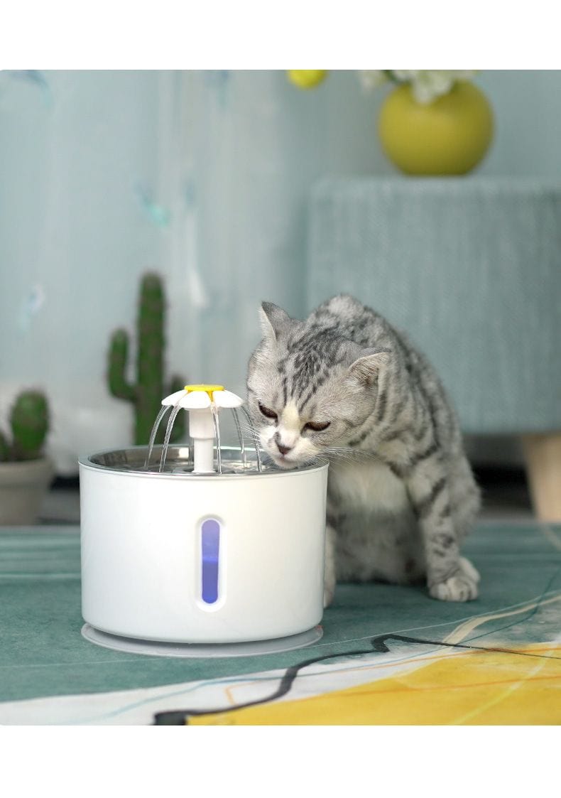 Pet Automatic LED Fountain 81oz / 2.4L Water Dispenser for Cats Dogs 6 of 6