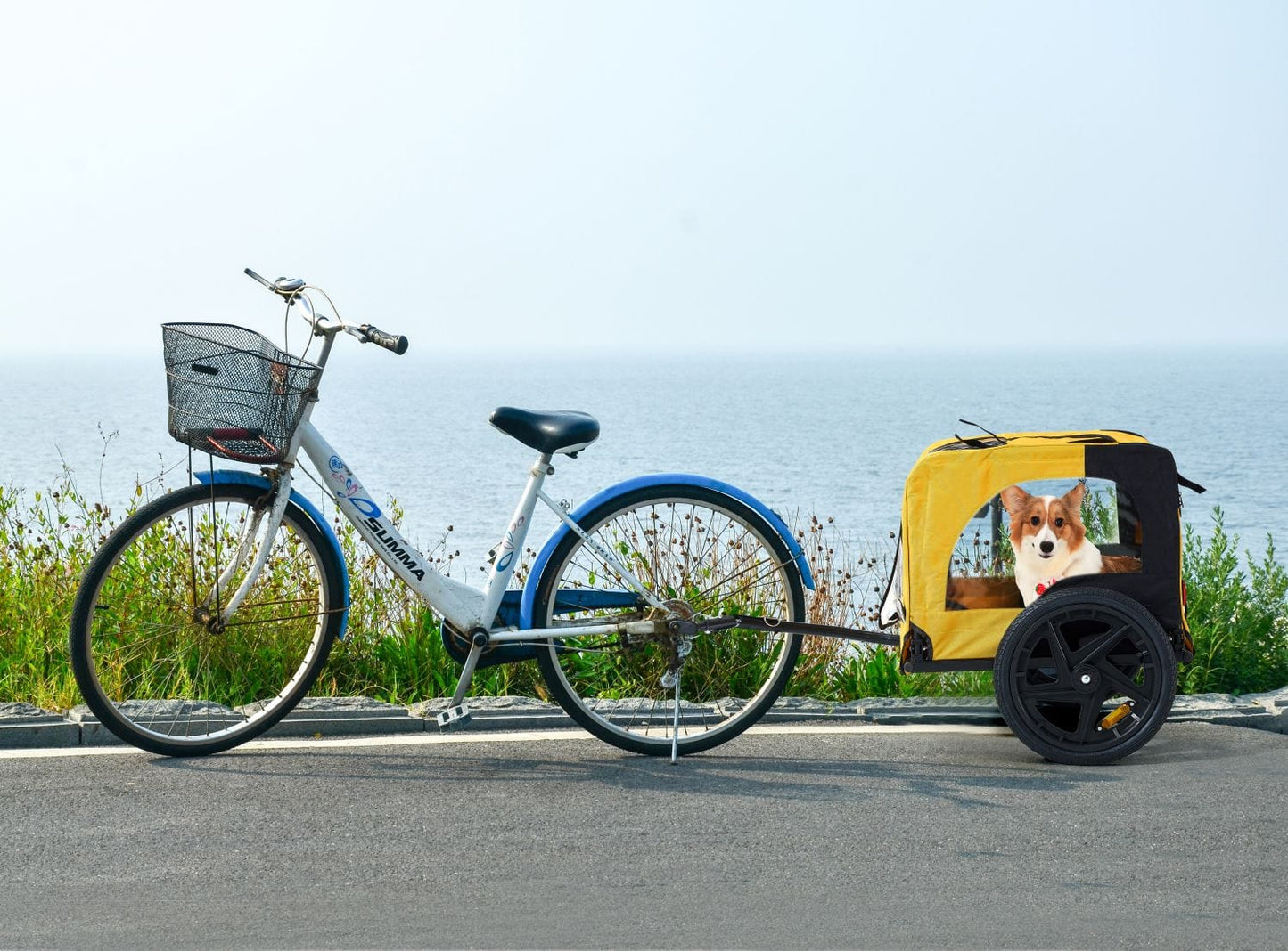 picture with bike view