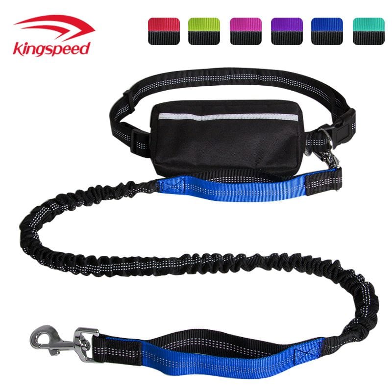 Hands Free Dog Leash with Small Pouch; Dual Padded Handles and Durable Bungee for Walking; Jogging and Running Your Dog