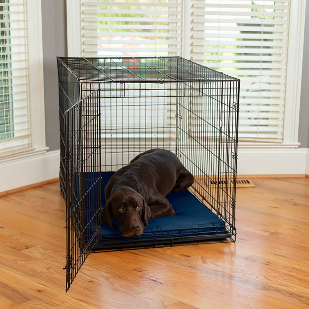 Forgiveness Crate Pad - Lg - (41X25) - Sapphire