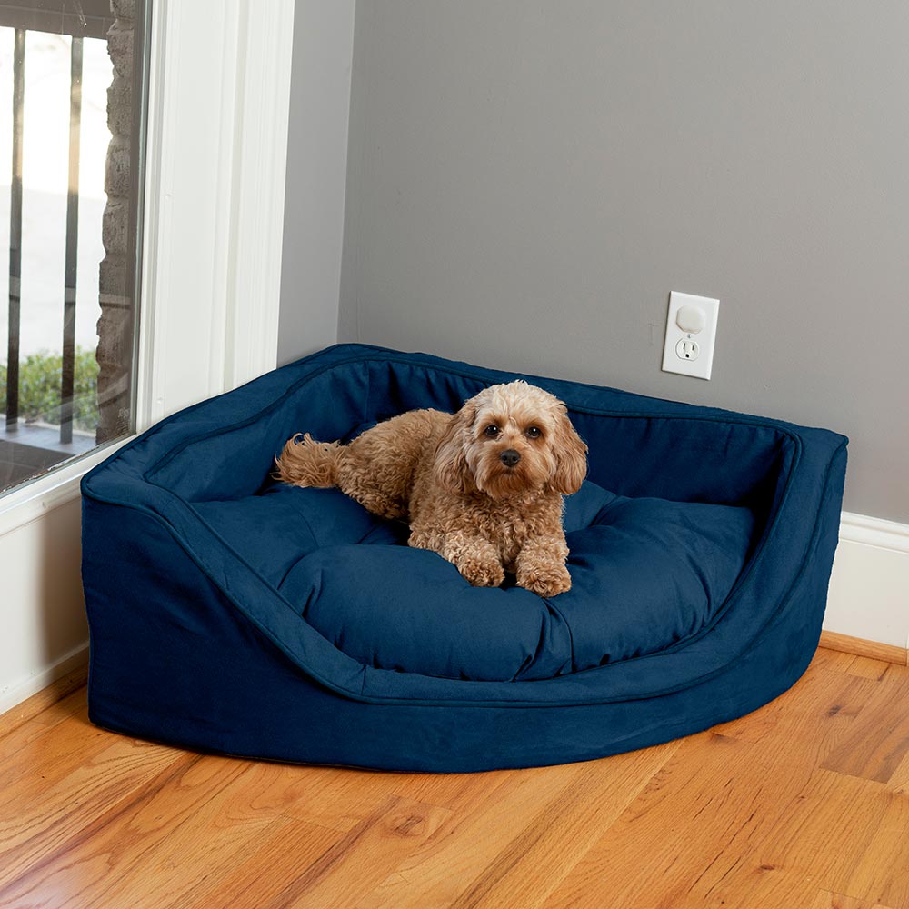 Corner Bed - Sm (22X22) - Sapphire