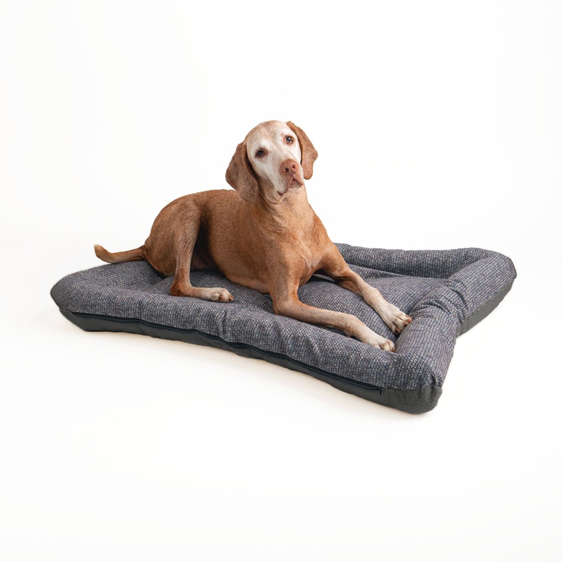 All Day Bed - Lg (30X40) - Merlin Pewter/Ash