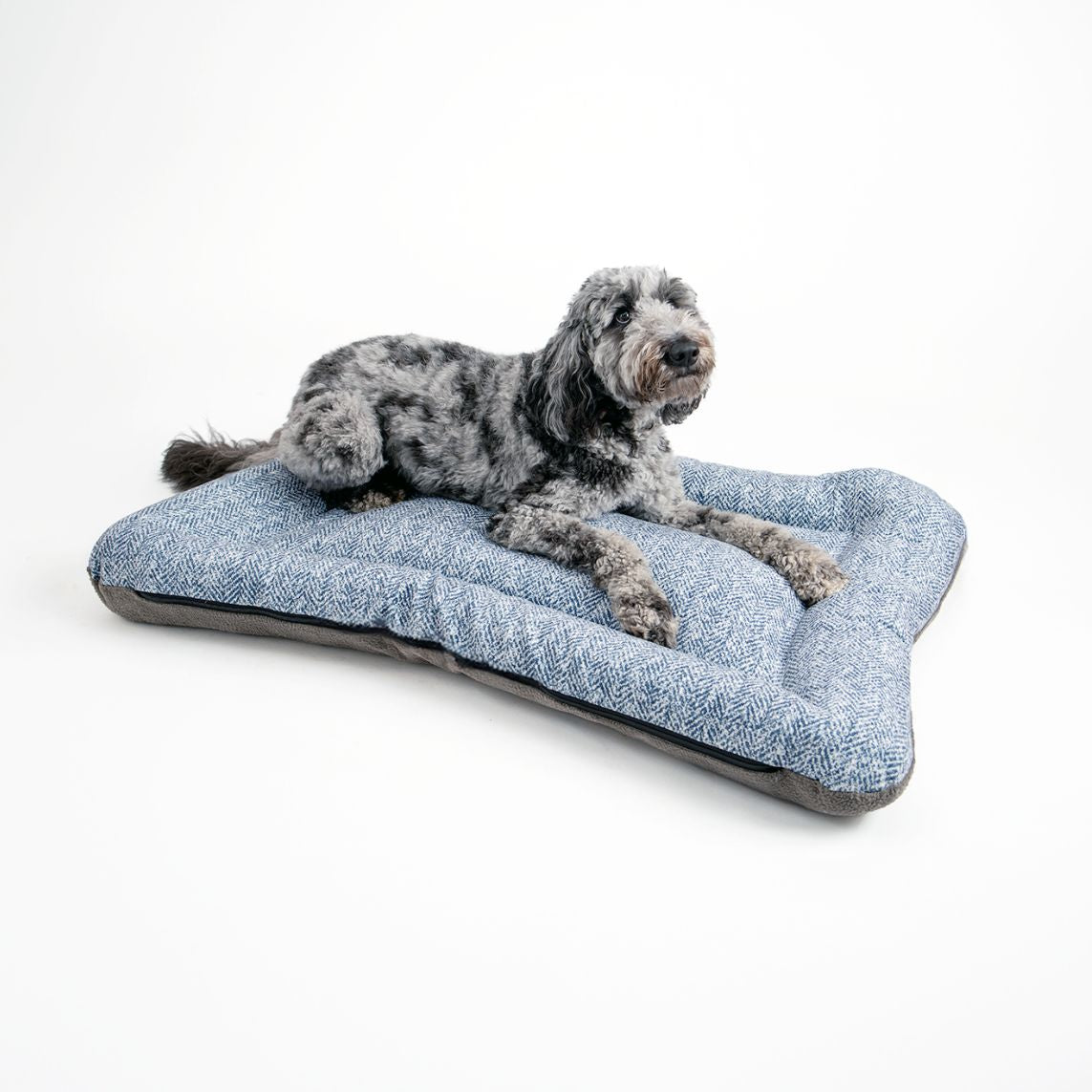 All Day Bed - Med (24X31) - Palmer Indigo/Ash
