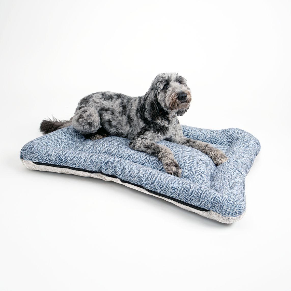 All Day Bed - Sm (20X26) - Palmer Indigo/Ivory