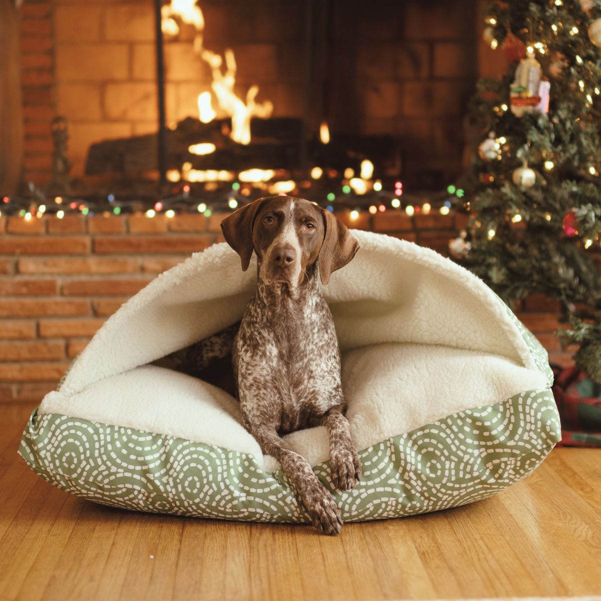 Cozy Ortho Rectangle Cave - Sm - Denver Pine
