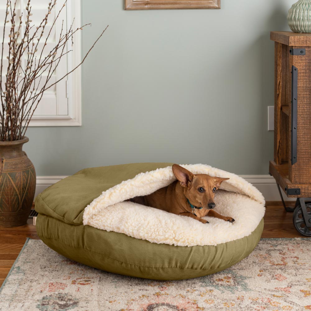 Cozy Cave - Sm - Olive