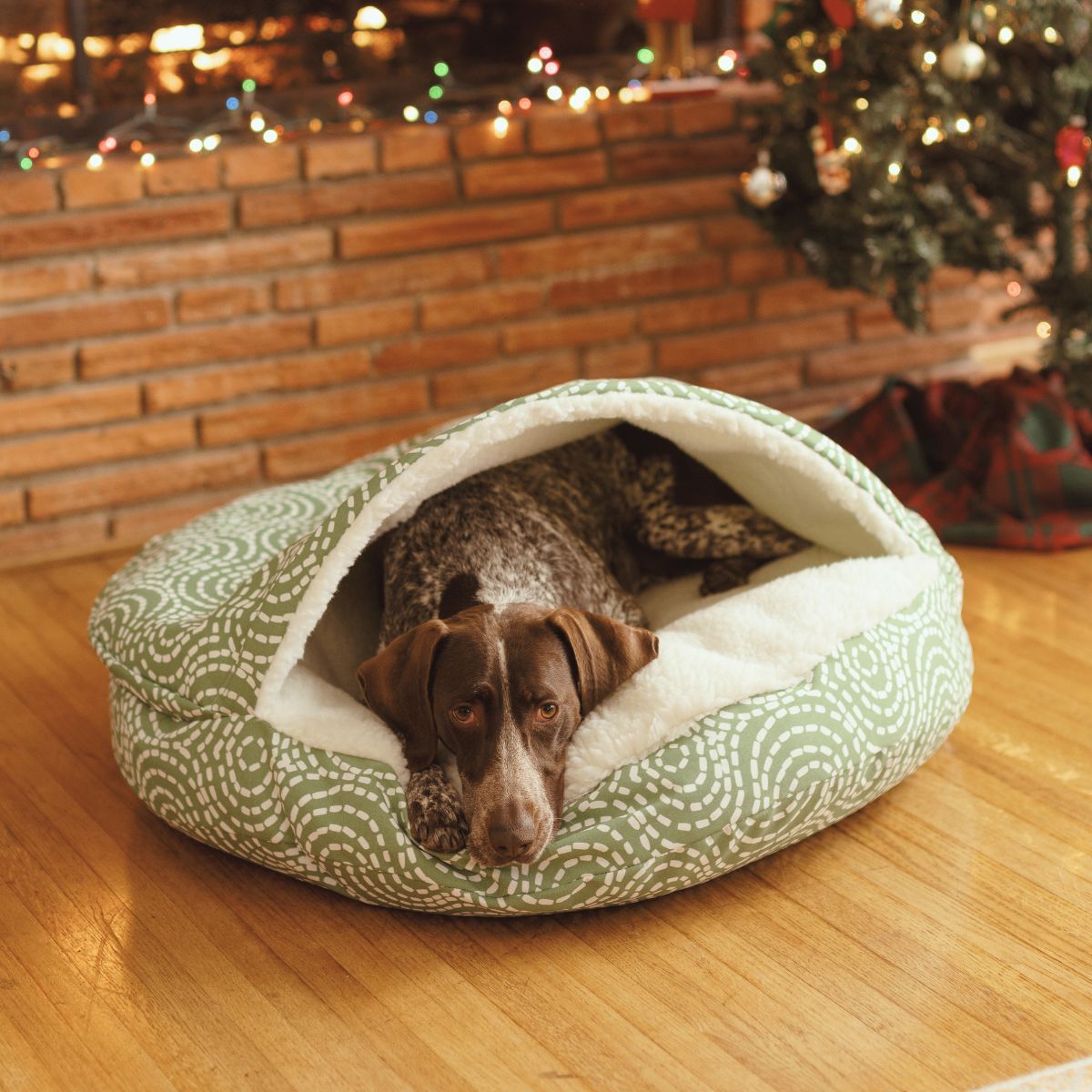 Holiday Cozy Cave - Sm - Denver Pine