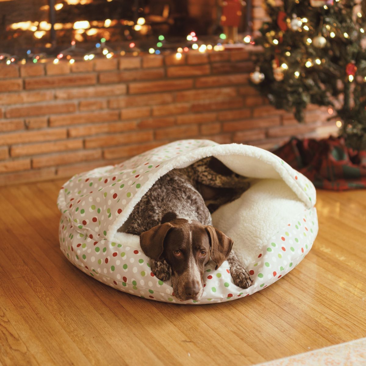 Holiday Cozy Cave - Sm - Free Dots