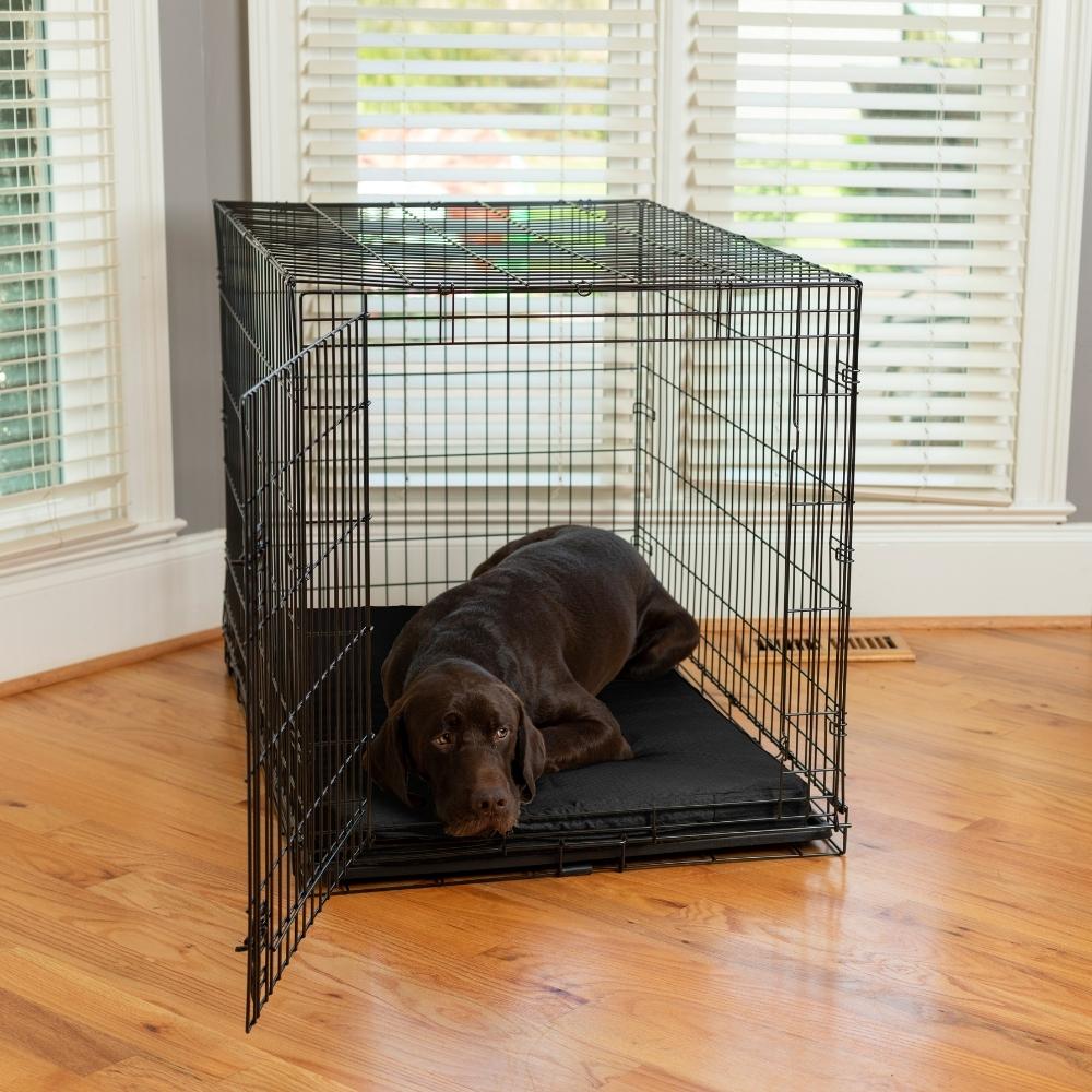 Forgiveness Crate Pad - Sm - (23X15) - Black
