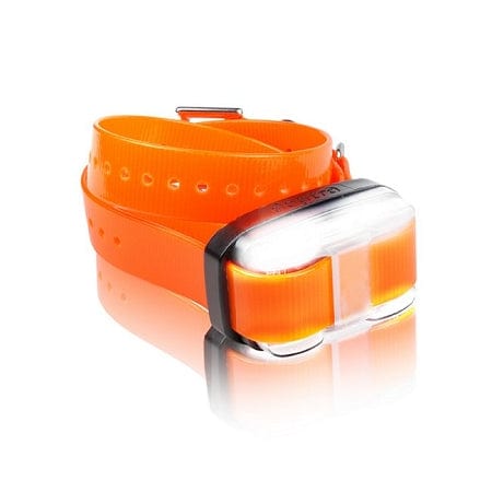 Dogtra Edge Extra Dog Collar in Orange