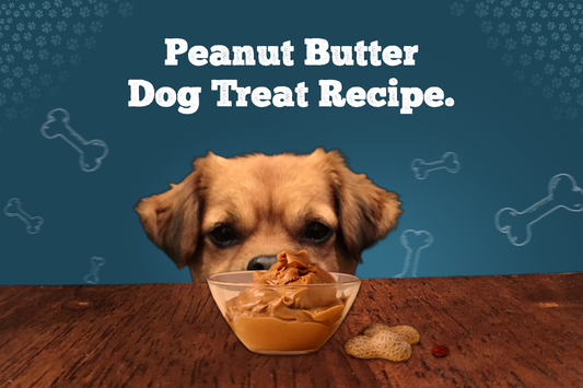 Peanut Butter Dog Treat Recipe