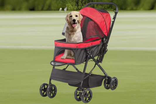 Are Dog Strollers A Good Idea?