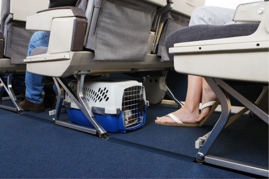 Guidelines For Airline Travel With A Pet