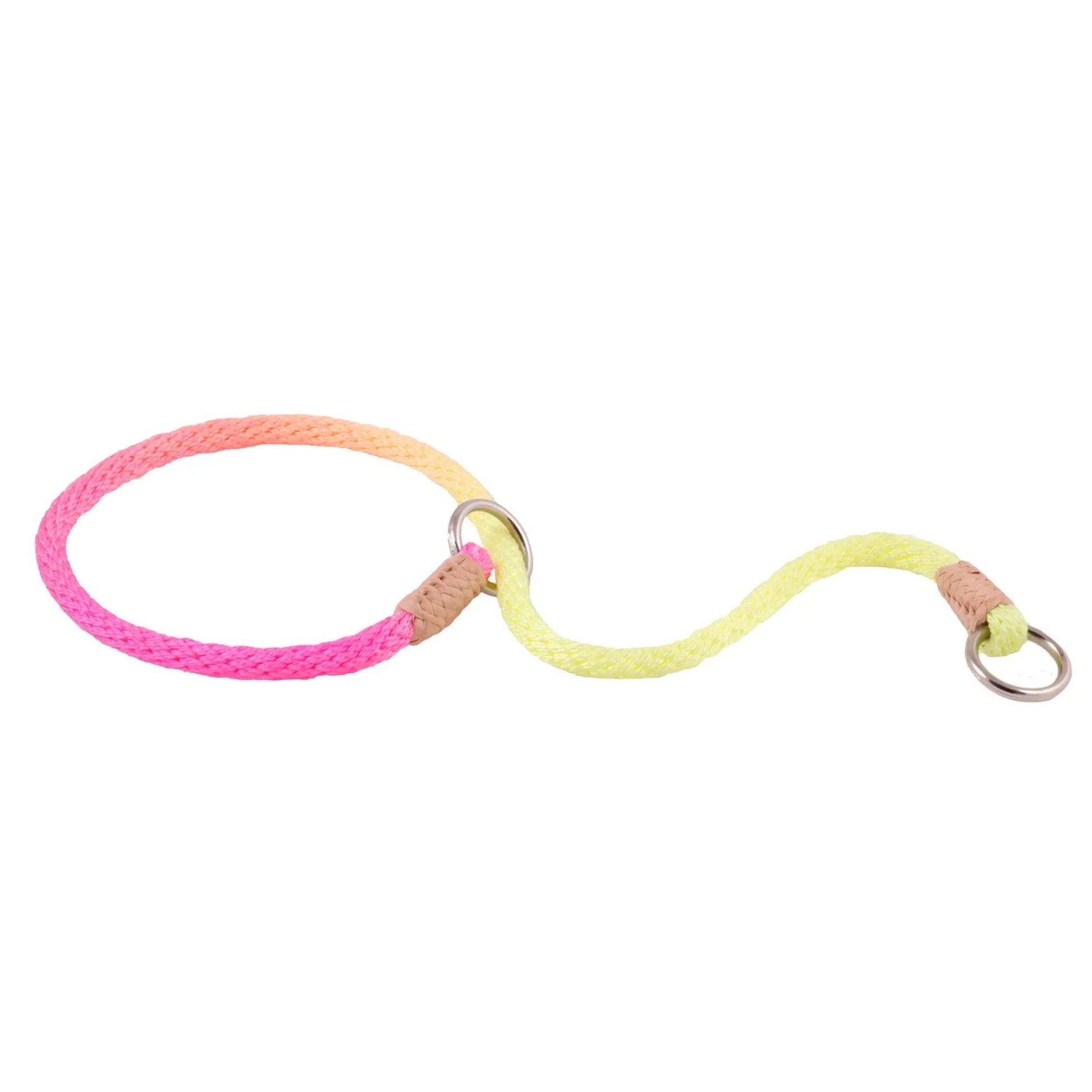 Nylon Slip Collars (14 in x 1/8in or 4mm) rainbow colors