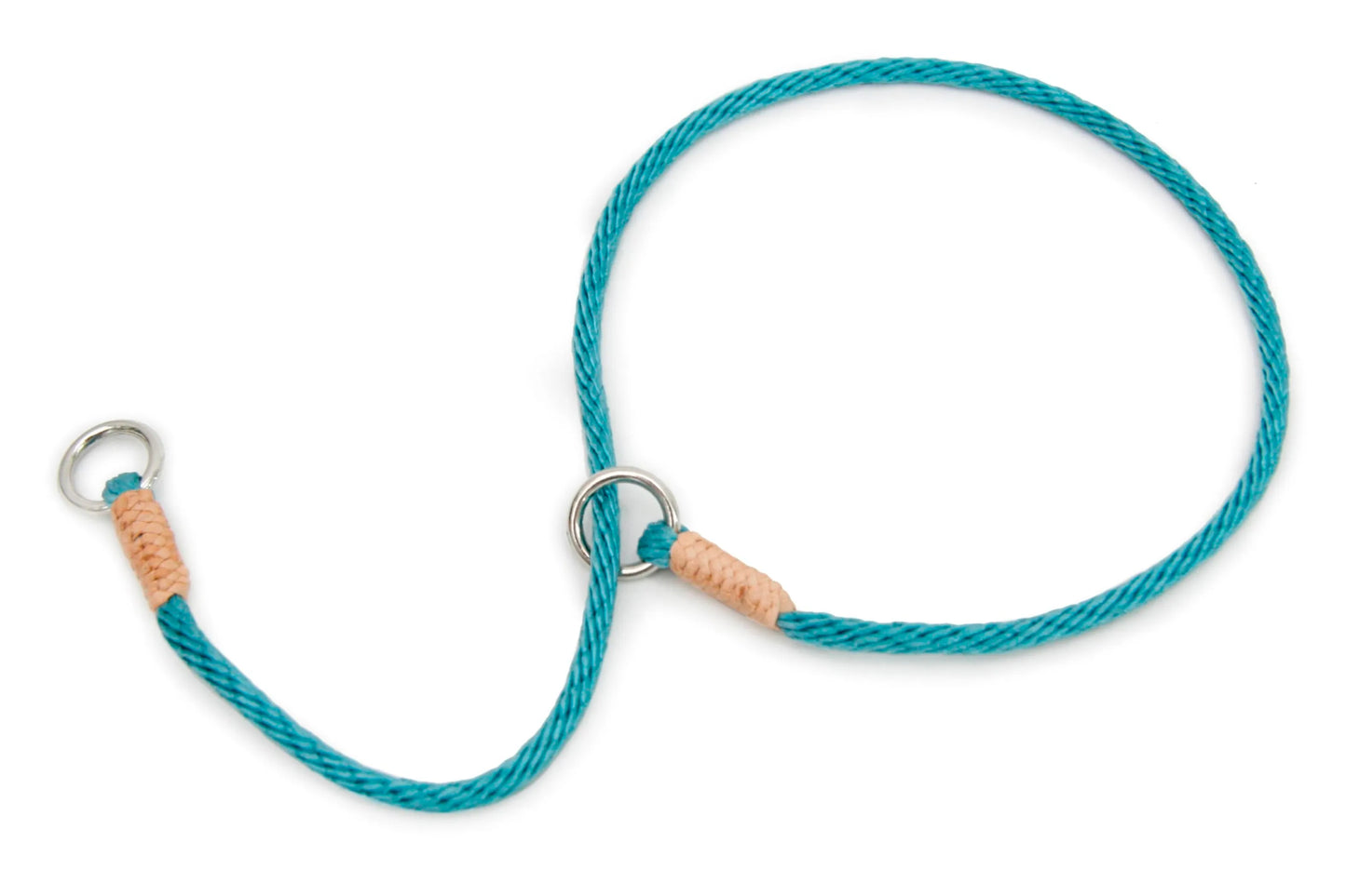 Teal dog leash with metal clips on a white background