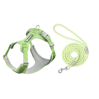 Green Harness and Leash