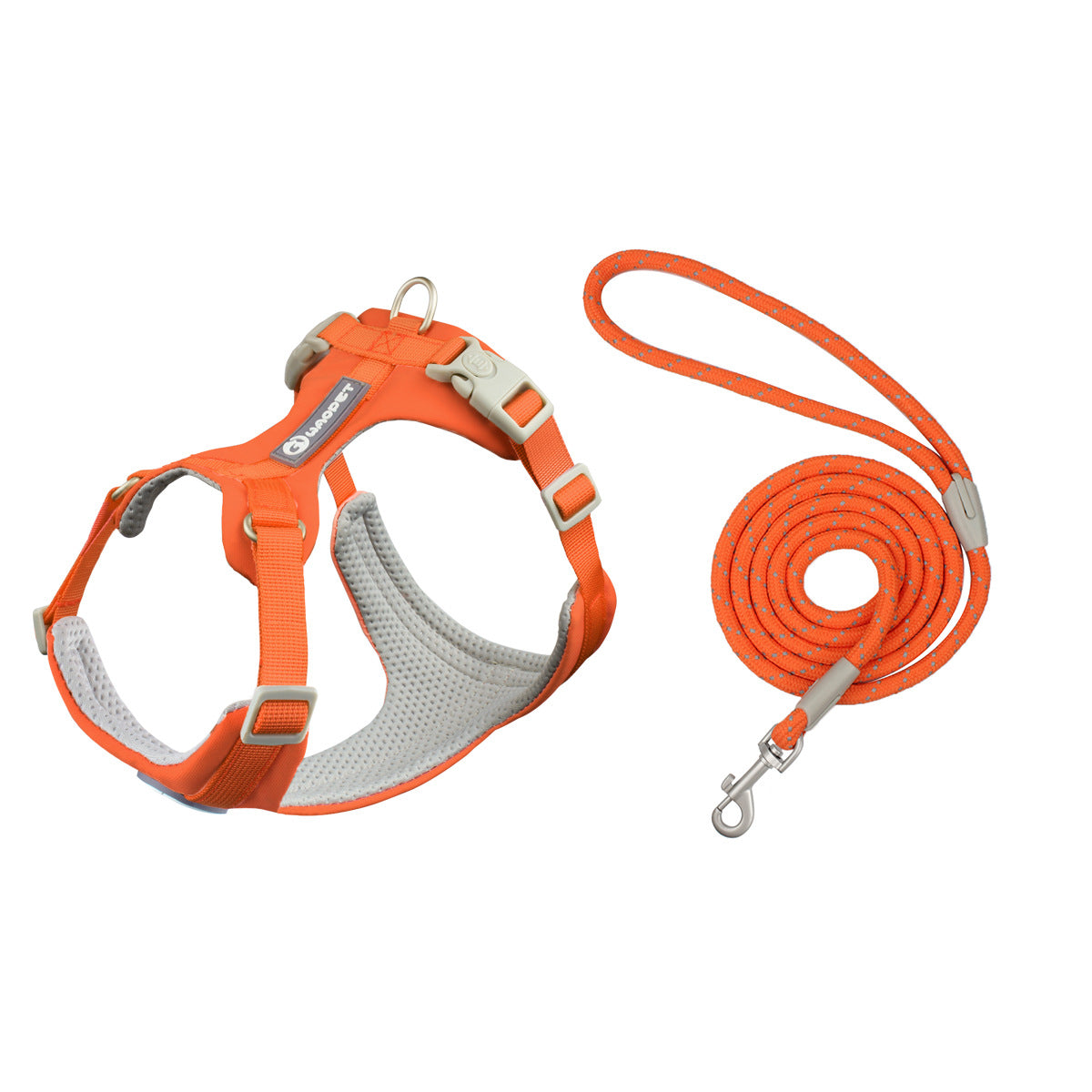 Orange Leash and Harness