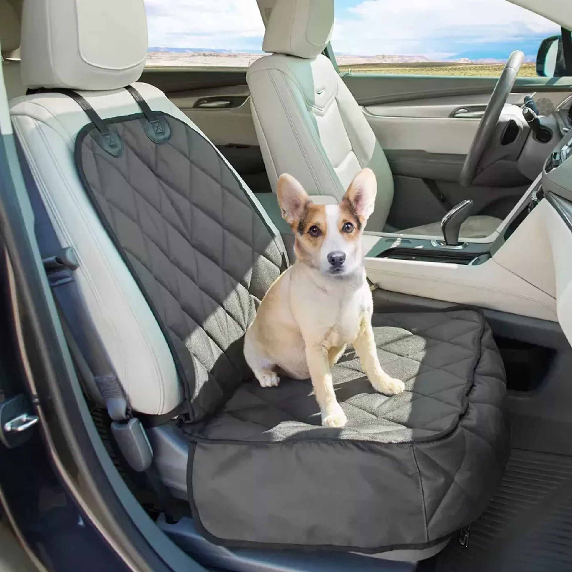 Dog sitting on a car seat cover in a vehicle with a scenic view outside.