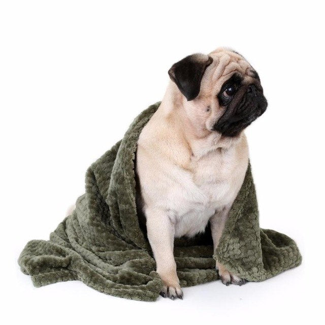 Very Soft Warm Pet Blanket for Dogs and Cats