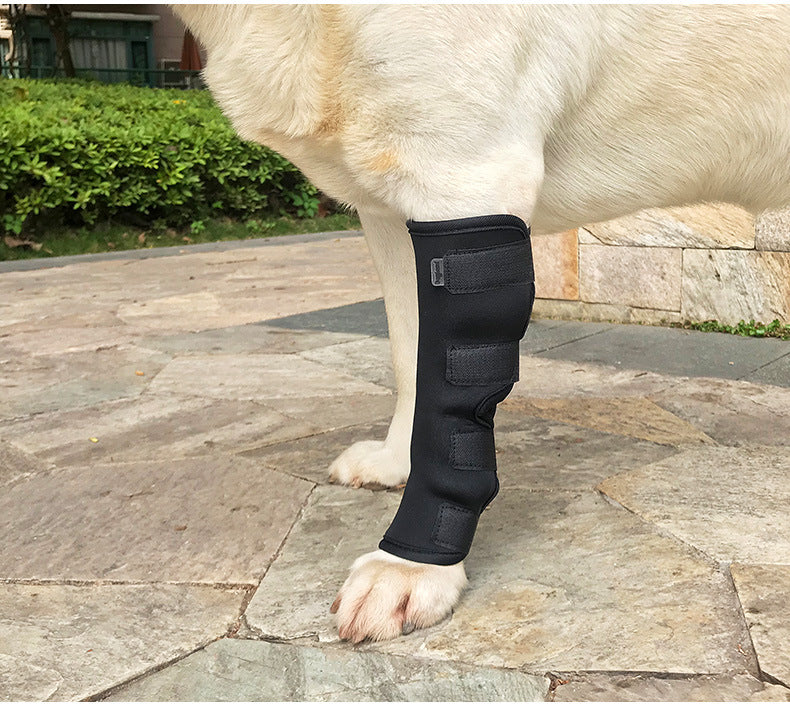 Dog Hock Brace black