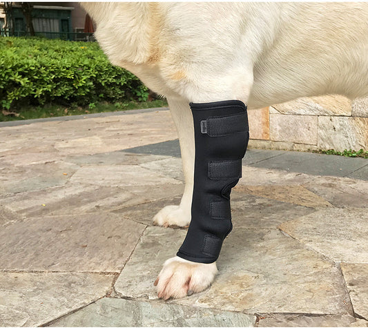 Dog Hock Brace black