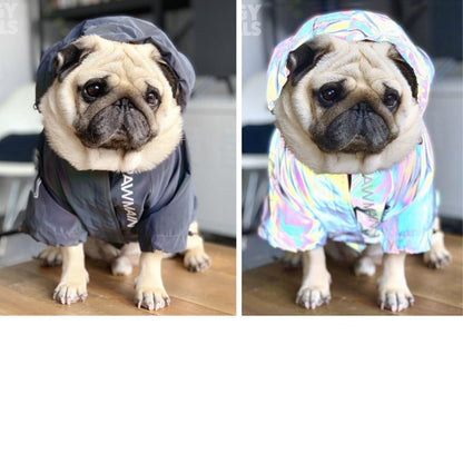 Windproof and Rainproof North Dog Face Dog Coat