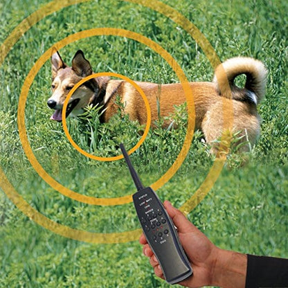 High Tech Pet Products "Express Train" Remote Radio Dog Trainer