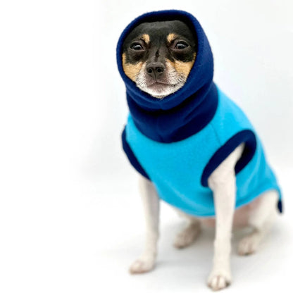 Dog wearing a blue and navy winter coat on a white background