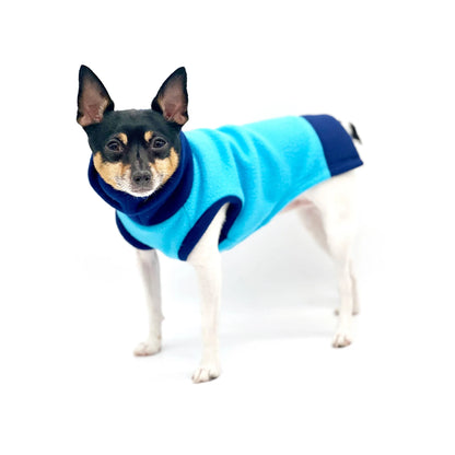 Dog wearing a blue and black sweater on a white background