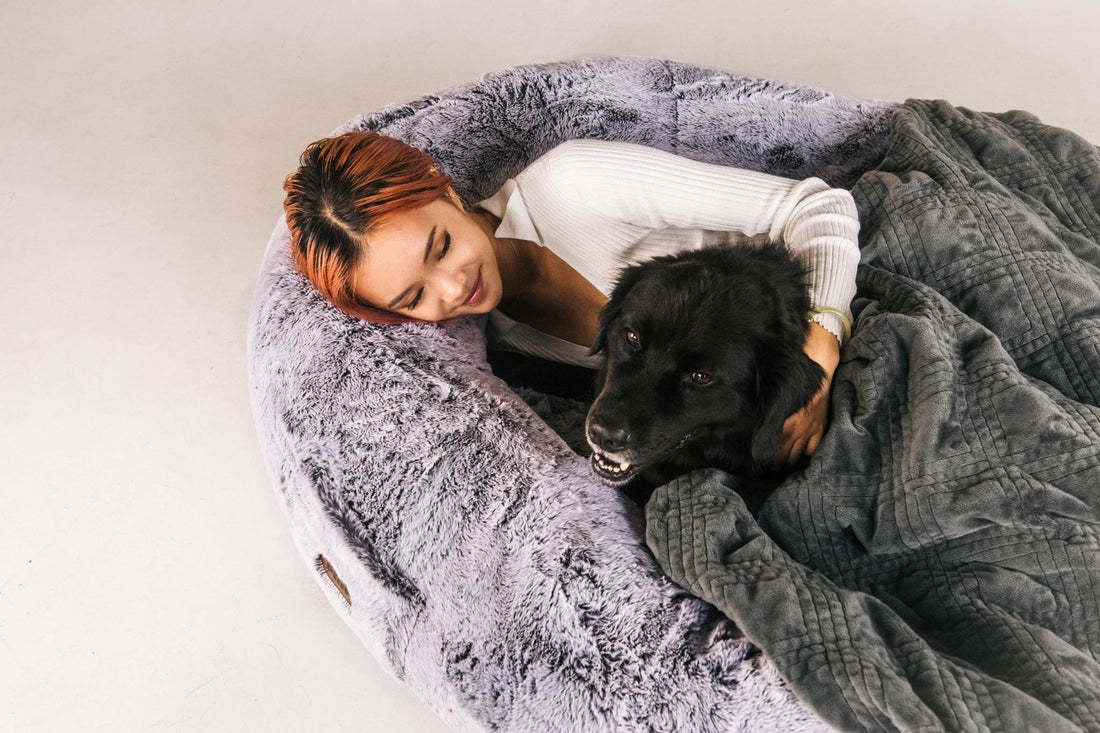 Portable Human Dog Bed for Adults and Pets – Giant Plush Floor Lounger for Dogs