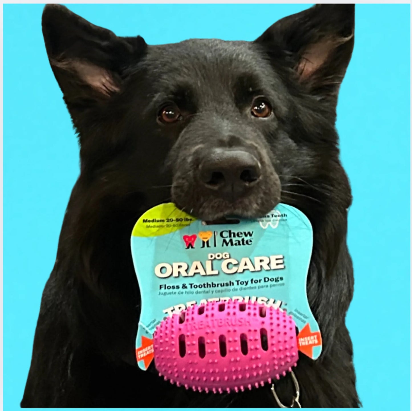 Natural Rubber Football Oral Care Toy