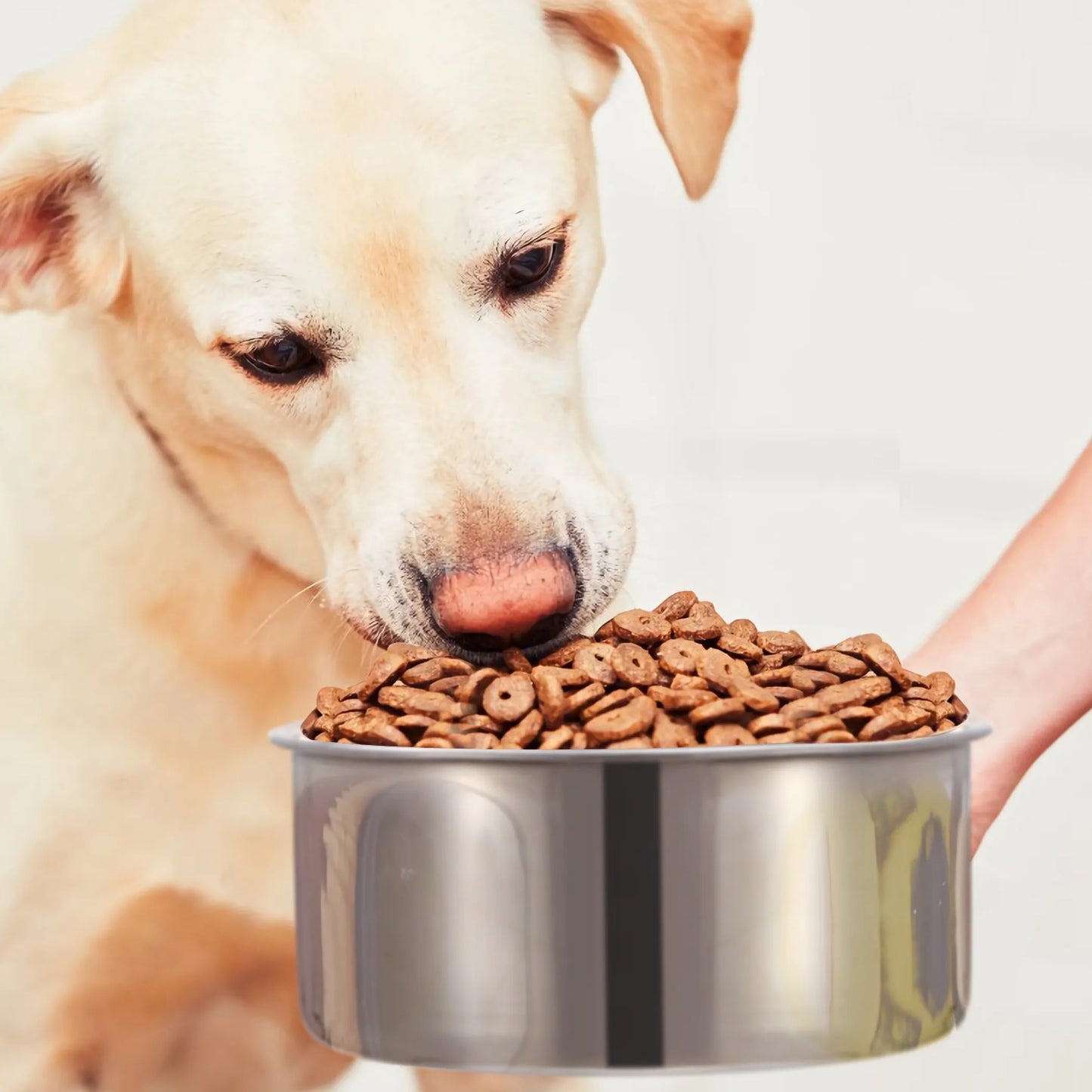Stainless Steel Dog Bowl Pets Hanging Food Bowl
