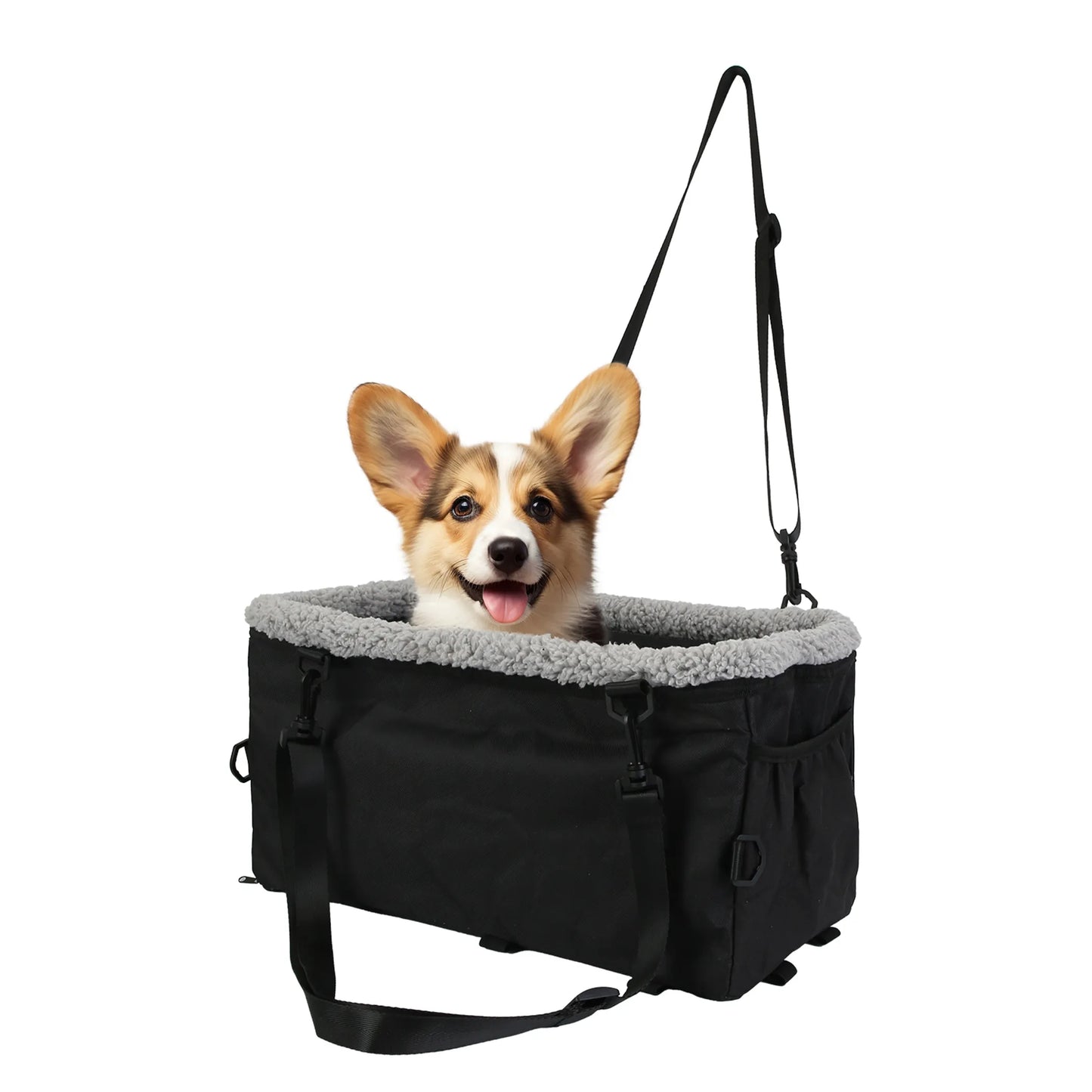 Dog in a black pet carrier with gray interior on a white background