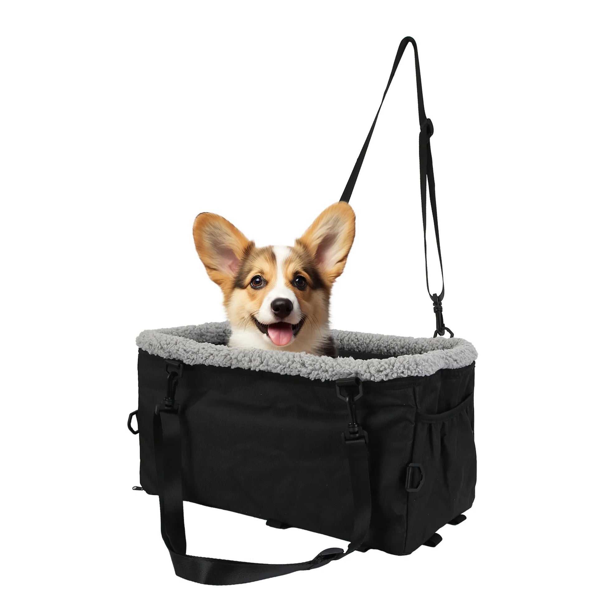 Dog in a black pet carrier with gray interior on a white background