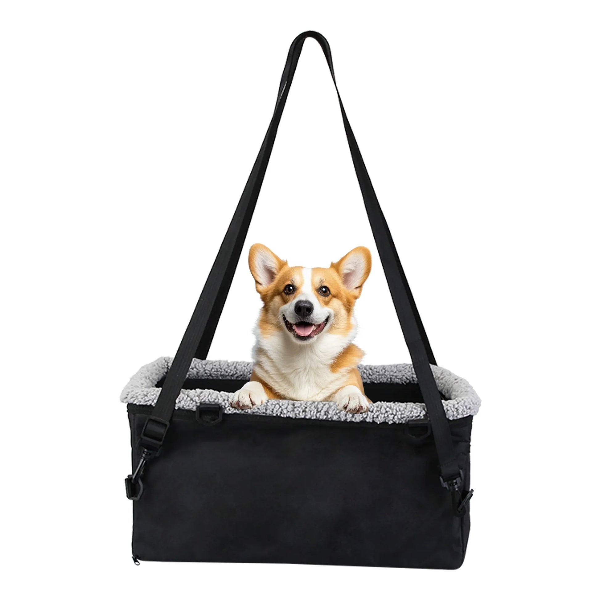 Dog sitting in a black pet carrier with a white background