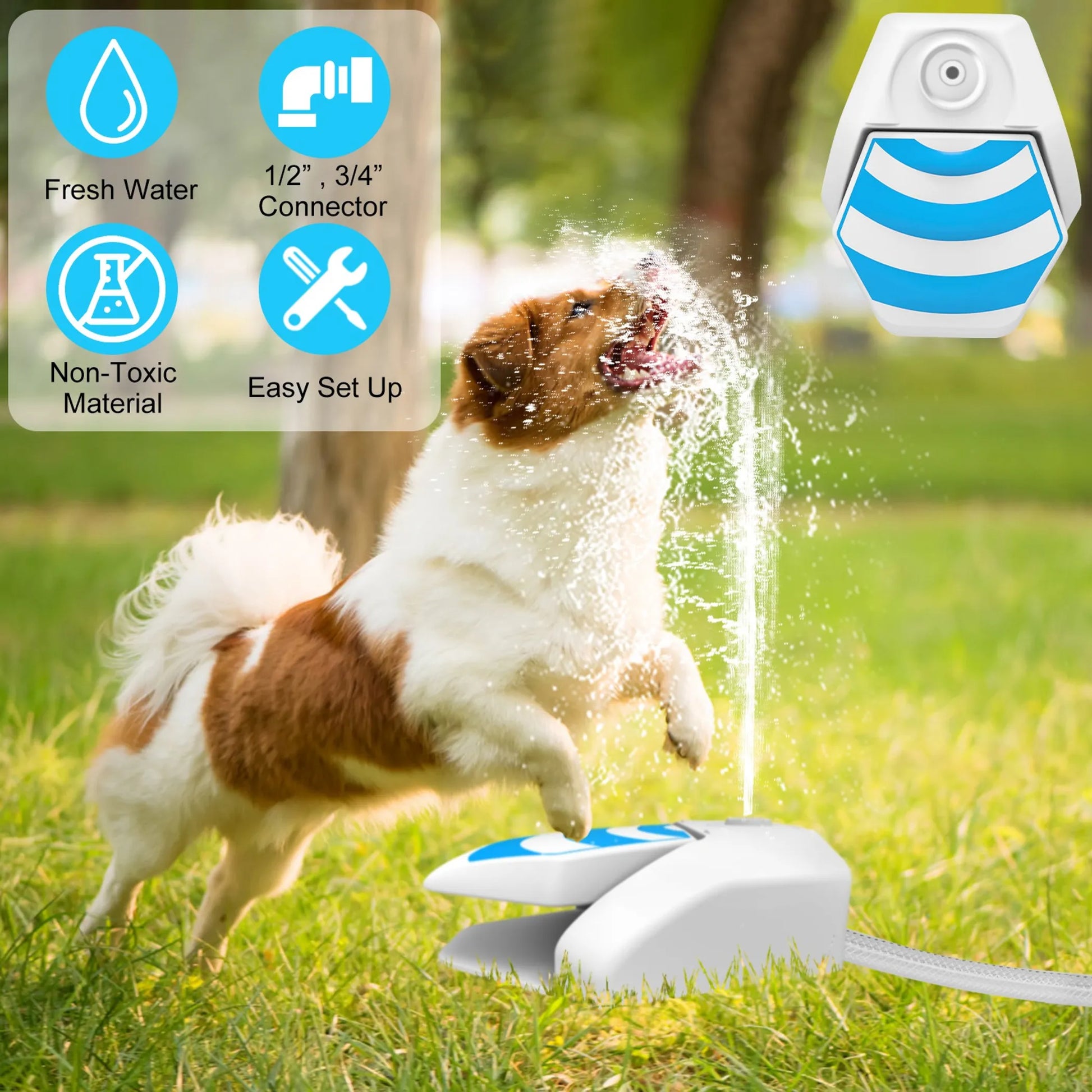 Outdoor Dog Water Fountain Dog easy set up