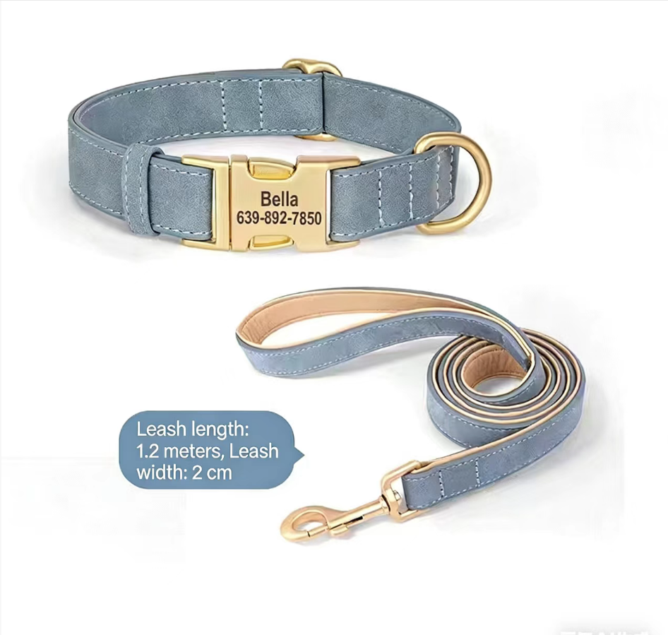 Letter Print Dog Collar for Small Dogs Blue