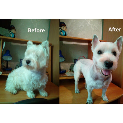 Pet Dog Hair Trimmer for home use