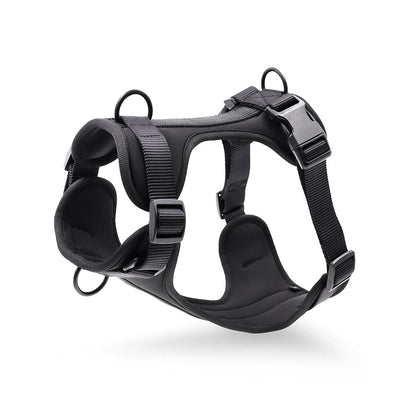 Waterproof PVC Dog Harness and Leash Set for Small and Medium Dogs black harness