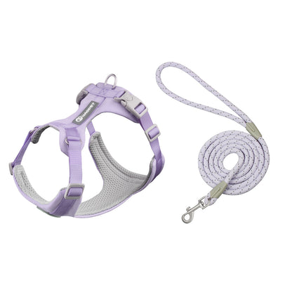 Lavender Harness and Leash